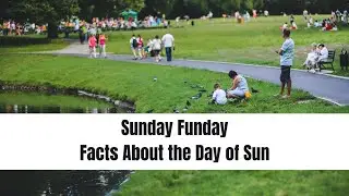 Sunday Fun day Facts || Mind Musings #facts #dailyfacts #trendingvideo #sunday #history