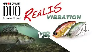 Voblere lipless Duo Realis Vibration | G-Fix | Apex Tune | Nitro