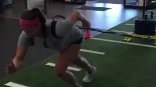Elite Athletic Performance