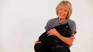 About Pig Expert Susan Magidson | Pet Pigs
