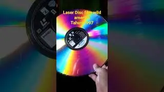 Nostalgia laser disc film wild America #nostalgia #shorts #film #laserdisc