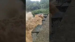 🌊 ڈیم ٹوٹ گیا؟ 😱 پانی کا خوفناک ریلہ! | Live Footage