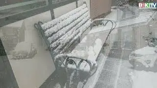 Nieuwland foto film winter Januari 2026