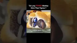 Did Tai Lung FEAR Monkey&rsquo;s Speed in Kungfu panda ? #shorts