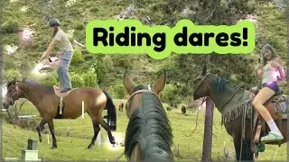 Riding dares! (8k special) 