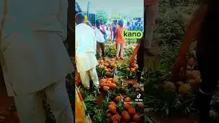Kano kasuwar abaraba na ibawa