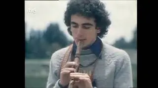 Savia Andina Danza del Sicuri en el programa 300 Millones 1981