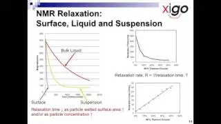 Wetted surface analysis using NMR relaxation