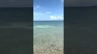 Solo Traveler tip: Travel to Aruba in the off season to get the beach to yourself 😎