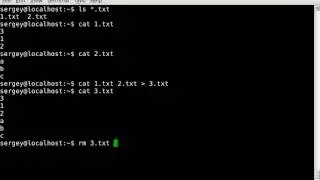 How to combine multiple text files into one file in Linux