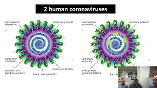 VM534: Veterinary Immunology:  Episode 1 - INTRO to Immunodiagnostics
