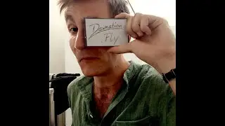 DAWNATION - Fly (Official Video)
