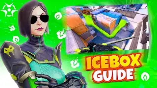 VIPER ICEBOX GUIDE | RAT ULTS | ORB LINEUPS | MOLLY LINEUPS