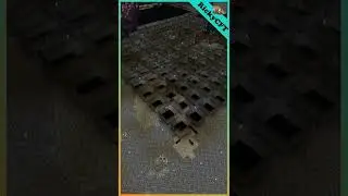 Mining Deepslate #shorts #zetacraft