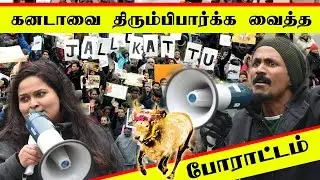 We won Jallikattu | Toronto Support Jallikattu - 22.01.17 | Yonge and Dundas square