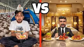 5 Star Hotel vs Poultry Farm &ndash; 24 Hours Survival Challenge @A1ADVENTURE 