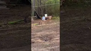 308 sniper rifle firing