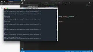 Multiple Arguments and Argument Defaults