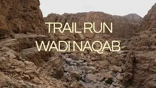 38km Trail Run in Wadi Naqab