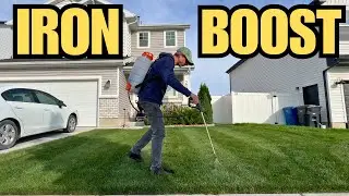 How I Fix Dry Spots and Get a Dark Green Lawn with Chelated Iron