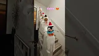 CHRISTMAS DECORATION DIY PENGUIN 🐧 #viral #shorts #diy #trending #penguin