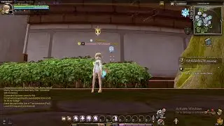 Dragon Nest Orion MQ, Spam, Newbie guide