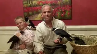 Ravens and Crows with Daniel Walthers