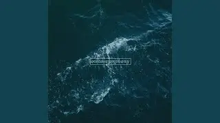 ocean symphony
