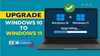 Обновите Windows 10 до Windows 11 бесплатно (без USB, без потери данных)