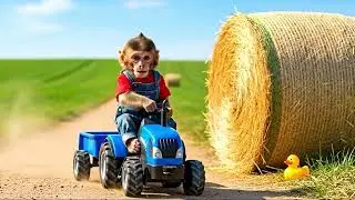Monkey Nana Drives a Tractor to Find the Missing Duckling | Unexpected Farm Adventure