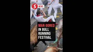 One gored, seven wounded in Spain's bull running festival