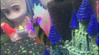 Live 🐠🐟🐌