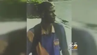 Park Slope Attacker