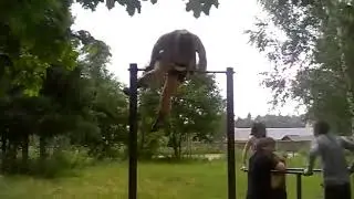 Естественный отбор