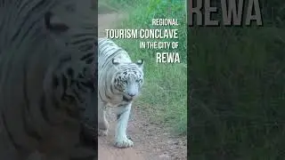 Regional Tourism Conclave Rewa