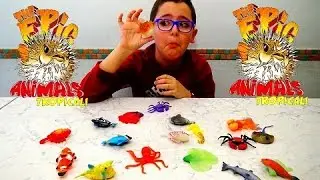 THE EPIC ANIMALS TROPICALI - Leo Toys
