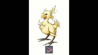 chocobo kweh!