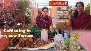 Gardening in Terrace | Easy Home Plantation Tricks 🧺 | Swati Rasoi Vlog 🎐