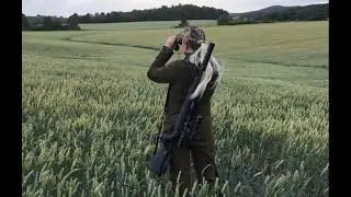 Hylte #2 Vildsvinsjakt i spannm&aring;l!