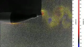 2019 Tuna robotics: A high-frequency experimental platform exploring the performance space o...5