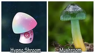 Plants Vs Zombies 1&2 All Characters in Real Life part 5