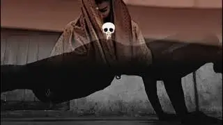 Ham jaruri ayenge  #instagram #status #story #youtube #yoga 