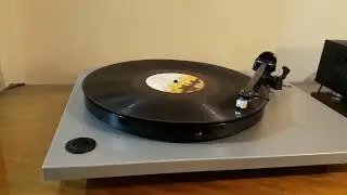 REGA PLANAR RP1