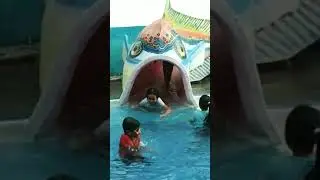 Playing in fish slide