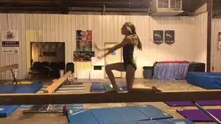 Savannah Level 6 Beam 2/28/2018