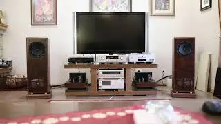 Audio Nirvana full-range speakers.