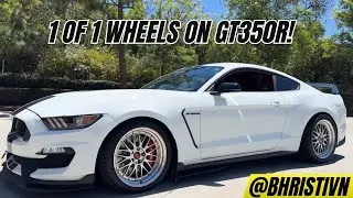 1 OF 1 WHEELS ON THIS MUSTANG GT350R! | 2019 Ford Mustang GT350R Build @abc.garage