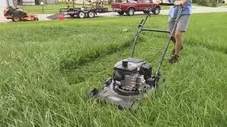 Relaxing push mowing tall thick grass