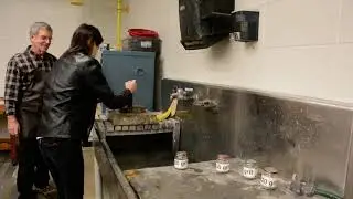 Levigating Litho Stones
