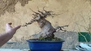 Al mal tiempo buena cara 😁😁😁